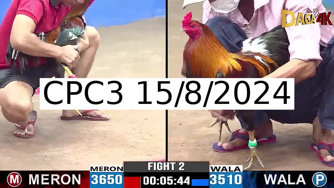 Full 33 Trận - Video đá gà trực tiếp CPC3 Campuchia ngày 15/8/2024