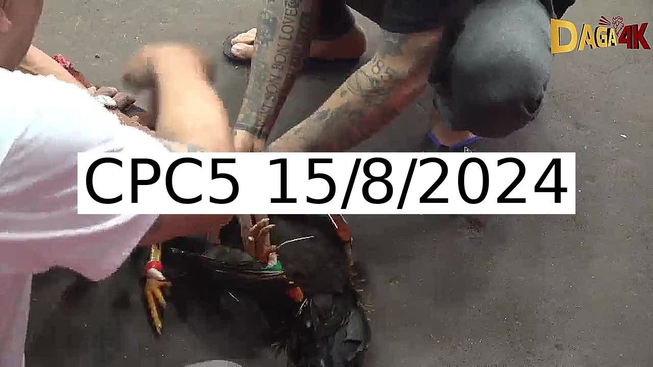 Full 39 Trận - Video đá gà trực tiếp CPC5 Campuchia ngày 15/8/2024