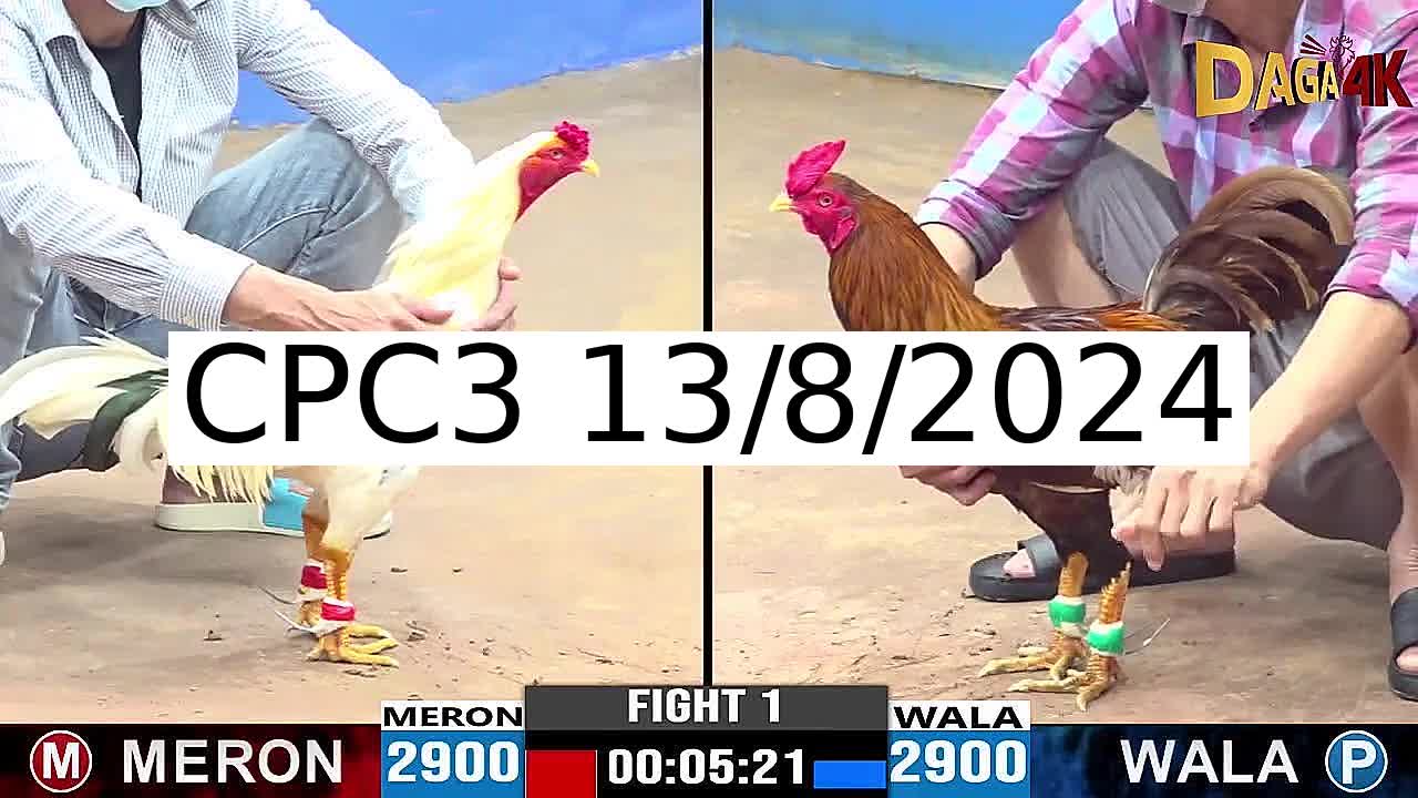 Full 37 Trận - Video đá gà trực tiếp CPC3 Campuchia ngày 13/8/2024