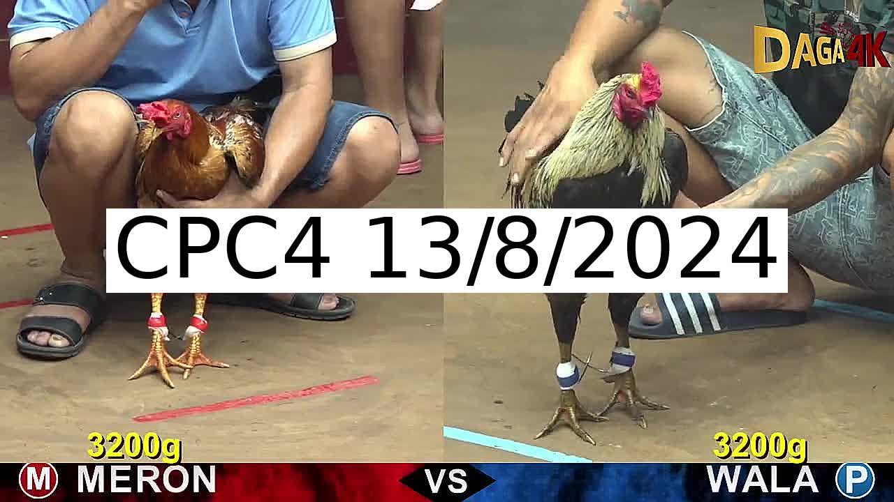 Full 27 Trận - Video đá gà trực tiếp CPC4 Campuchia ngày 13/8/2024