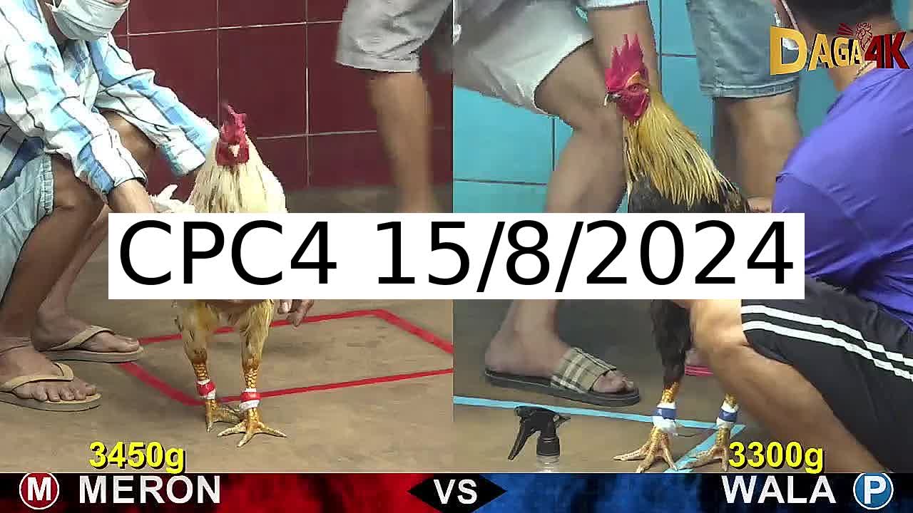 Full 26 Trận - Video đá gà trực tiếp CPC4 Campuchia ngày 15/8/2024