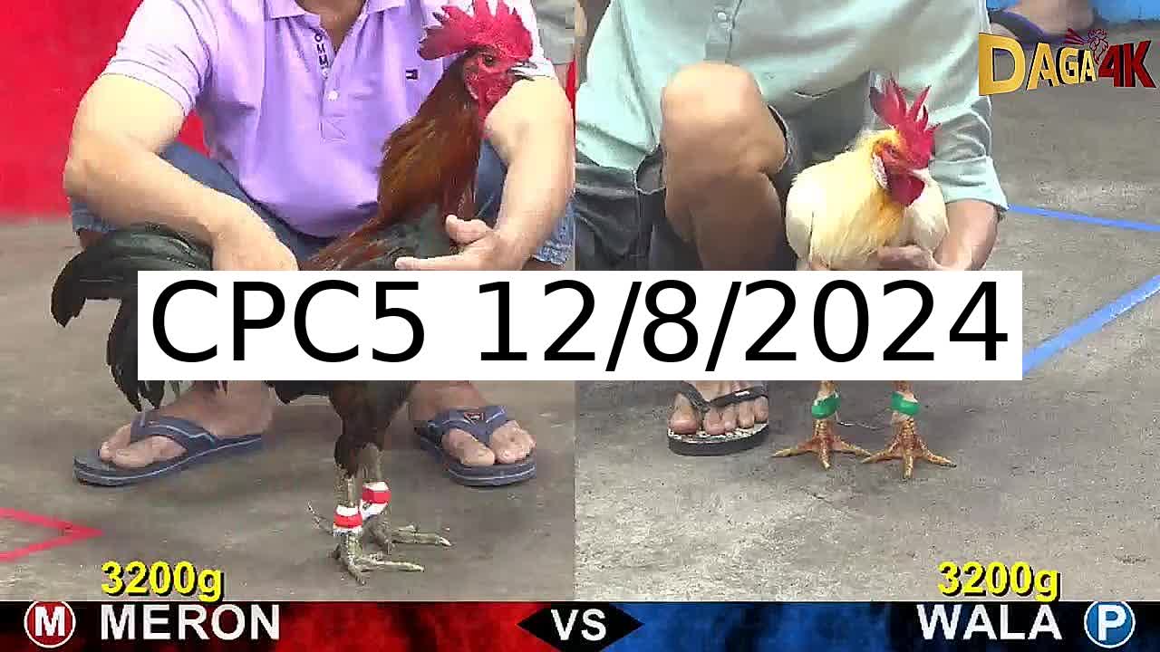 Full 26 Trận - Video đá gà trực tiếp CPC5 Campuchia ngày 12/8/2024